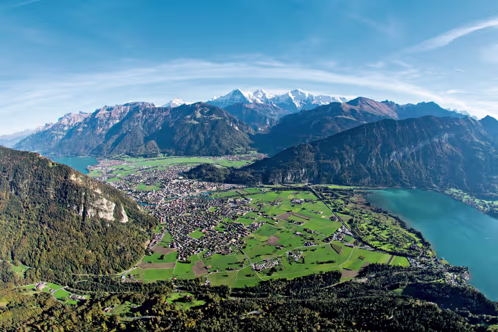 Le Suisse Experience