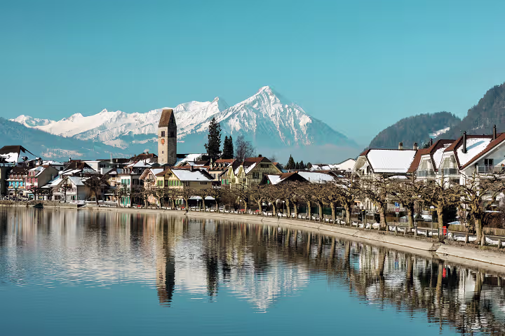 Le Suisse Experience