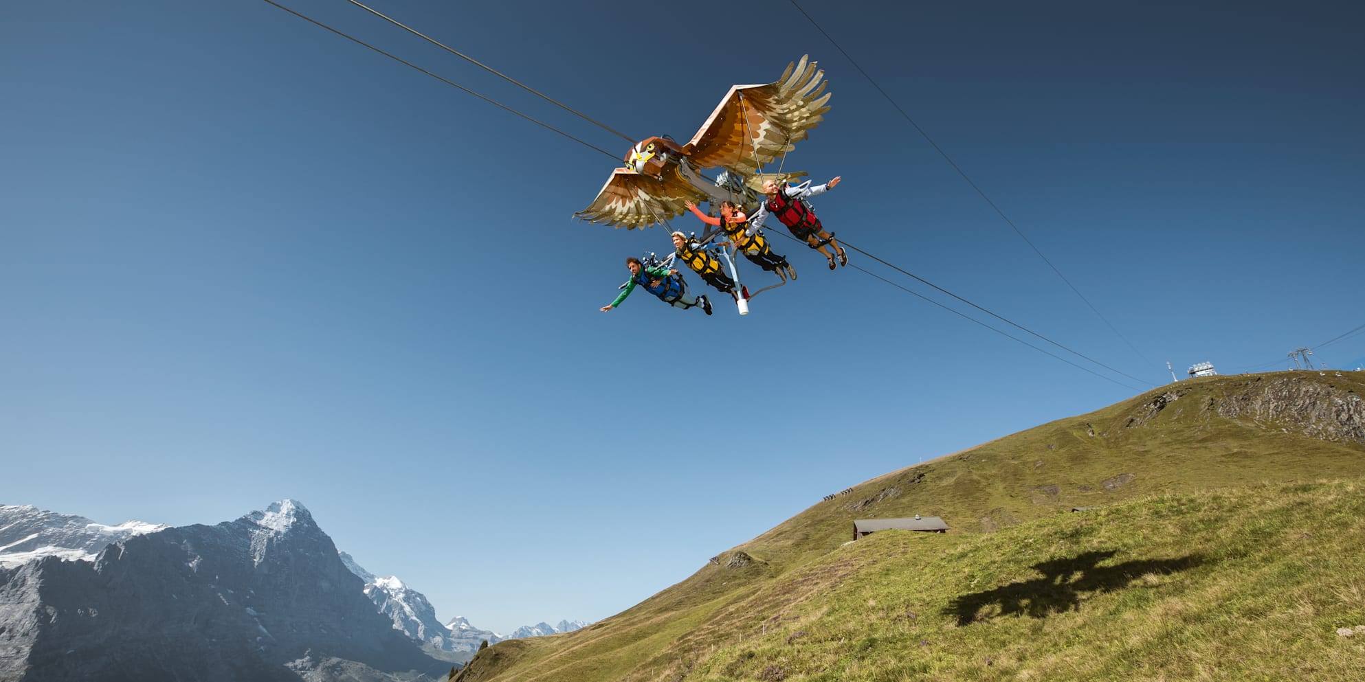Le Suisse Experience