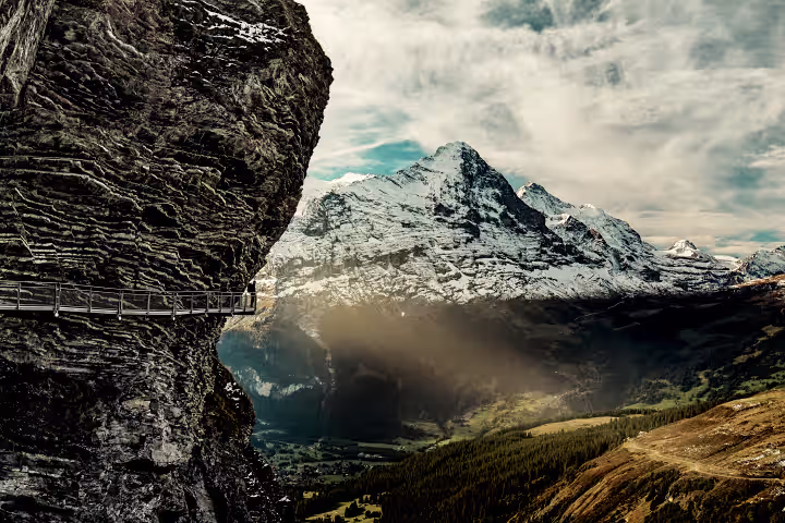 Le Suisse Experience