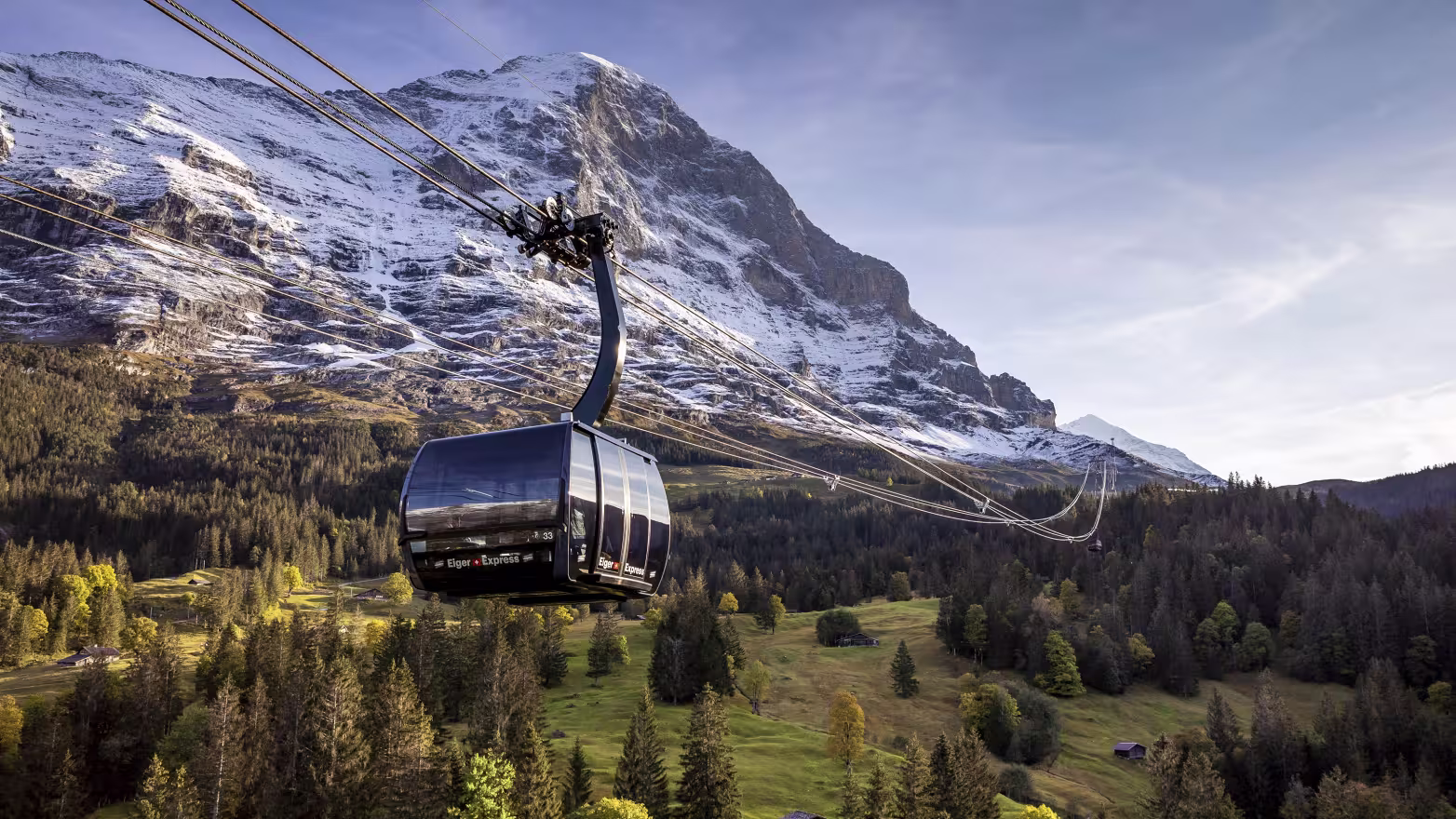 Le Suisse Experience