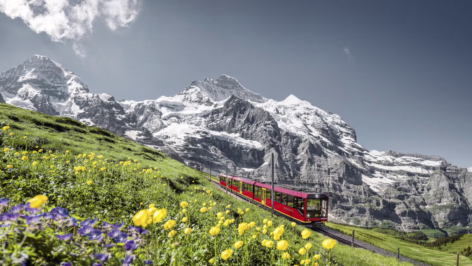 Le Suisse Experience